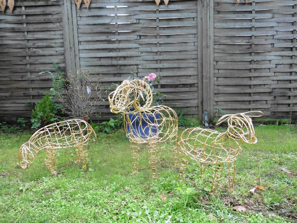 2 agneaux et un bélier en baguette de laiton doré, transparence et volume, ensemble au jardin